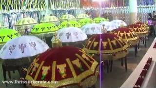 Thrissur Pooram Paramekkavu Ana Chamayam Pradarsanam 2012