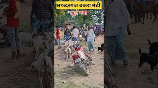 Safdarganj Bakra mandi खुल gayi#shorts#youtubesorts