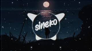 Sineko - IN VAIN