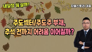 [내일장 뭐 살까?] 주도섹터도 주도주도 없이 올라가면 발목잡히는 시장, 추석 전까지 어려움 이어질까? | 박창윤 대표 | 주식 | 주가 | 투자 |