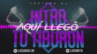 INTRO AQUI LLEGO TU TIBURON + PERREO - RKT - LUCIANO DJ 🦈