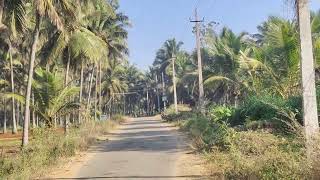 6 Kunte (60×110) S/F Land For Sale Near Mysore |(9110861228)