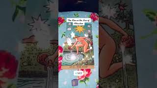 A message from The Tarot Star: Use The laws of Attraction & Assumption #shorts #tarot