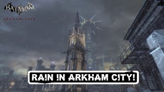 SKIN; Batman; Arkham City; Rain In Arkham City