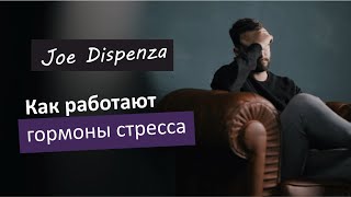 Как работают гормоны стресса | Джо Диспенза | Сверхъестественный разум