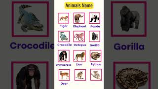 Animals name in english with picture#vocabulary#animals