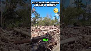 Is Illegal Logging the Cause of Landslide in Batangas?