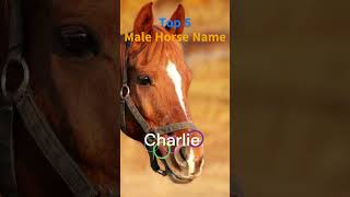 Superb male 🐴 horse names #shortvideo #horse #horselover