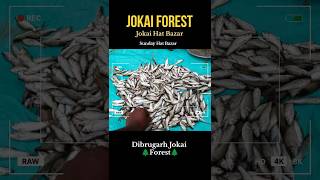 Dibrugarh Jokai Hat Bazar #market #bazar #dibrugarh #assam #forest #ytshorts #youtubeshorts #travel