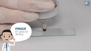 METODOLOGIA PARATEST®