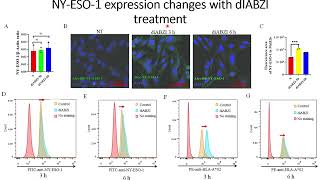 DiaBZl stimulates NY-ESO-1 antigen expression on tumor cells #Code: 704