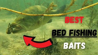 Bed Fishing Tips With AMAZING Underwater Footage!