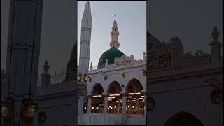 #madina #makkah #riazuljannah #trending #ytshort #shorts