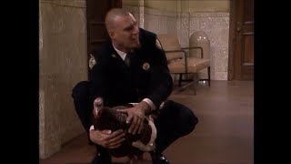 Night Court "Skippy the Turkey"