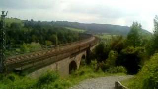 Güterzug auf dem Altenbekener Viadukt