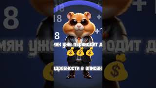 информация в ТГ https://t.me/hamster_earn_coin  #hamsterkombat #hamsterkombatdailycombo #hamsters