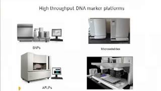 ALM207Genetic engineering part one