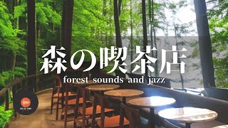 環境音＋JAZZ やさしい森の喫茶店☕ 川のせせらぎ 鳥のさえずり CAFE  MUSIC リラックス・作業・勉強など  - 作業用BGM