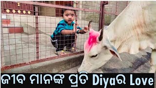 Love Between Baby & Cow,Little Baby Diya Giving Food To Cow,Baby Play With Cow,Feeding A Street Cow.