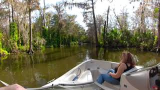 Lake Dora Canal in 360