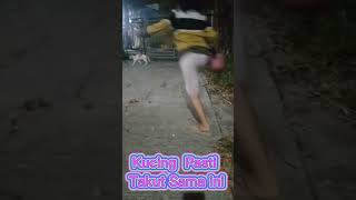 Pengusir Kucing Yang Ampuh | Usir Kucing #shorts #ytshort