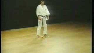 Shotokan Karate Heian GoDan Kata  - Hirokazu Kanazawa 10º Dan