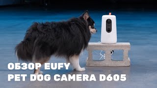 Обзор Eufy Pet Dog Camera D605. Камера и дозатор для животных от Eufy.