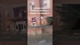 Вот как живут истинно скрепные россияне - Новосибирск, октябрьский район...