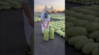 😱 OMG 😱 Very Tasty Watermelon 🍉😋🍈🥰🍒 #shorts #satisfying