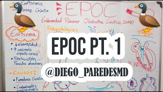 EPOC 1: Enfisema  🫁 - Fisiopatología