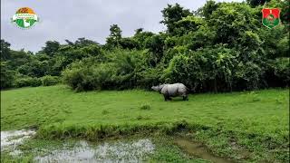 Kaziranga National Park Reopening 2024 25