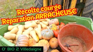 Récolte des dernieres COURGES et j'essaye de réparer l'arracheuse SAMRO