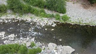 THE YUBA RIVER! (DRONE FOOTAGE) SMOKEY! July 2021