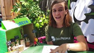 Outdoor Science Lesson for Kids: Seed Museum and Seed Viewers