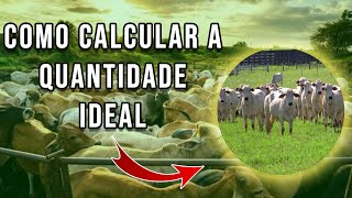 CALCULANDO A TAXA DE LOTAÇÃO IDEAL PARA SUA PROPRIEDADE