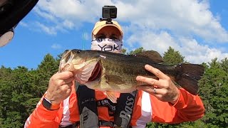 Giant Bass  Personal best  State Pin