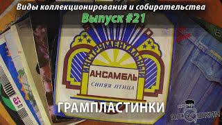 Грампластинки. (Виды коллекционирования: Выпуск №21)