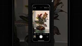 iPhone Camera crazy tricks #iphone #camera #techreels #technology #tipsandtricks #subscribekaro