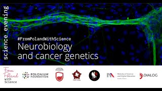 #FromPolandWithScience: Neurobiology and Cancer Genetics - Prof. Elżbieta Pyza (Jagiellonian Uni)