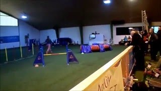 Cassie Tattendorf A1 agility