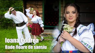 Ioana Codrea  - Bade floare de sansiu || Videoclip Oficial 2023 || 4K