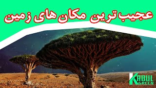 عجیب ترین مکان های زمین