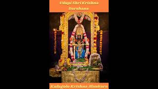 Udupi Shri Krishna Darshana | Kadagolu Krishna Alankara | April 06  #udupi #srikrishna #shorts