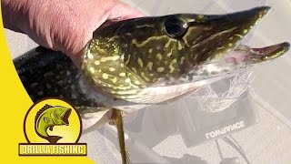 Pike Fishing - Springtime Northern Pike Hunt on Canal Lake (2017)