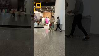 shoppohaulic #ego #shoppingmall #trendingshorts #viral_video