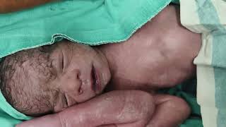 twinsbabiesmale and female baby#newborn #trendingshorts #newborn #cutebabycarebaby #viralvideo