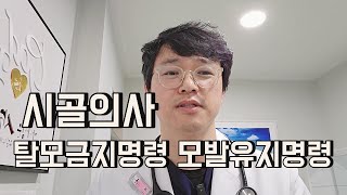 탈모금지명령 모발유지명령