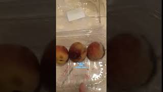 Daily Chinese-Rotten peach 坏掉的桃子