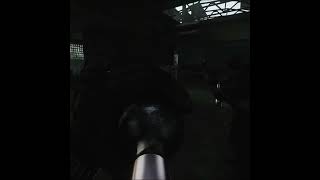 А что еще делать в вашем Escape from Tarkov