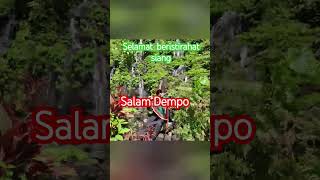 Gunung Dempo,#shortvideos #pendakiindonesia #pencintaalam #jalanjalan #refreshing